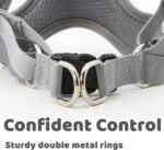 Dog Harness No Pull for Medium Size, Easy Walk Adjustable Pet Harness, No-Choke Soft Padded Dog Vest, Reflective Breathable Pet Oxford Cloth with 2 Metal Leash Clips - Image 6