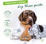 Benebone Dental Durable Dog Chew Toy for Aggressive Chewers, Real Bacon, Made in USA, Medium - Image 4