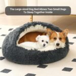 Dog Bed Round Hooded Plush Cat Cave Self Warming Pet Bed Donut Anti Anxiety Fluffy Pet Bed for Puppy and Kitty - Image 7
