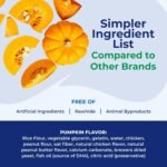 N-Bone Puppy Teething Sticks Pumpkin Flavor - Image 4