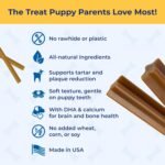 N-Bone Puppy Teething Sticks Pumpkin Flavor - Image 7