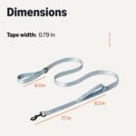 Amazon Basics Double-Sided Reflective Dog Leash with Dual Padded Handles and D-Ring, 120 cm, Black/Blue - Image 6