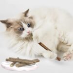 Cat Chew Sticks, Silvervine Sticks for Cats 25 PCS, Organic Catnip Matatabi Sticks, Teething Molar Toys for Cats - Image 3
