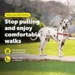 PetSafe EWH-D-HC-L-RSE Deluxe Easy Walk Harness, Large, Rose Red - Image 4