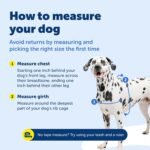 PetSafe EWH-D-HC-L-RSE Deluxe Easy Walk Harness, Large, Rose Red - Image 8