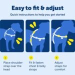 PetSafe EWH-D-HC-L-RSE Deluxe Easy Walk Harness, Large, Rose Red - Image 9