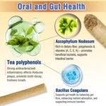 Freezed Dried Cat Teething Sticks, Cat Chew Stick for Dental Care, Salmon and Chicken Flavour Cats Treats, Feline Freshens Breath Snacks - Image 3