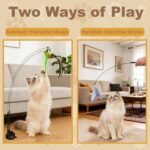 9 Pcs Interactive Cat Feather Toys, Cat Toys Wand, with Super Suction Cup, 2 PCS Cat Wand Toy and 6 PCS Feather Replacements with Bell, Kitten Toys for Indoor Play Chase Exercise (Natural) - Image 7