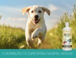 Camelina Oil for Dogs & Cats, 500mL by Olimega Farm | High in Omega-3 & Vitamin E | Made in Canada | Non-GMO - Image 3