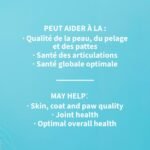 Camelina Oil for Dogs & Cats, 500mL by Olimega Farm | High in Omega-3 & Vitamin E | Made in Canada | Non-GMO - Image 6