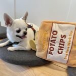 CHEWFFON Dog Puzzle Toys, Puppy Toys, Interactive Puppy Toys, Dog Enrichment Toys, Crinkle Dog Games, Durable Hide and Seek Toy,Nose Work Dogs Toy (Level 2) - Image 8