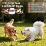 Outdoor Bungee Tug Toy, Dog Hanging Bungee Tug Toy with 3 Dog Chew Ropes,Interactive Retractable Play Cord Tether from Tree Outdoor for Small Medium Large Breeds Exercise and Play, Orange+Black - Image 5