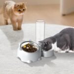 Cat Food and Water Bowl Set, Detachable Cat Bowl Automatic Water Dispenser with Water Bottle Pet Feeder for Cat or Dog (Gray) - Image 6
