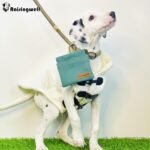 Dog Treat Pouch, Green Pocket Sized Pet Training Pouch, Cotton Fabric, Hand Free Dog Walking Bag with Carabiner, Self-Closing Pet Feed Snack Reward, for Pet Puppy Travel or Outdoor Use - Image 7