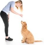 VitaLife Jerky Dog Treats - All Natural, Chicken Mini Tenders, 170g - Image 5