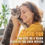 Kiroto Outdoor Pet Heating Pad for Cat Dog, Heated Mat with Waterproof Cover and Automatic Temperature Control, Suitable for Cat Houses, Dog Houses, Small Beds, Porches,20"x16",Blue - Image 8