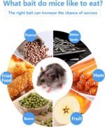 Fish Scale Humane Mouse Trap, 2 PCS Rat Cage Trap Suitable for Capturing Mice or Hamsters Alive, Friendly Small Animal Humane Live Cage Rat - 11.2'' X 5.5'' X 5'' - Image 8