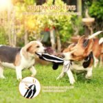 Squeaky Dog Toys No-Stuffing : 4-Pack Soft Plush Puppy Toys for Boredom - Durable for Small Medium Large Breed Playing/Chewing Indoor - Image 6