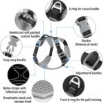 Plutus Pet No Pull Dog Harness, Release at Neck, Reflective Adjustable Dog Vest Harness, Easy Control Handle for Walking, for Small Medium Large Dogs, Black, M - Image 3