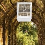 Metal Bird Cage for Parrots and Finches, White Iron Wire Pet Bird Carrier Cage with Portable Handle, - Image 6