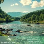 PHATOIL 1.01FL.OZ/30ML Clary Sage Essential Oil, Pure Essential Oils for Diffuser for Home and Office, DIY Candle and Soap Making - Image 4