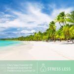 PHATOIL 1.01FL.OZ/30ML Clary Sage Essential Oil, Pure Essential Oils for Diffuser for Home and Office, DIY Candle and Soap Making - Image 5