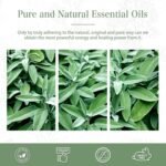 PHATOIL 1.01FL.OZ/30ML Clary Sage Essential Oil, Pure Essential Oils for Diffuser for Home and Office, DIY Candle and Soap Making - Image 7