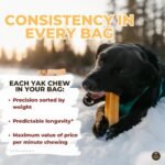 Bully Bunches Premium Mint Himalayan Yak Chew for Dogs, 100g, All-Natural, Long-Lasting, Authentic Yak Milk, Healthy Dental Chew, High-Protein, Grain-Free (Medium, 3 Pack) - Image 3