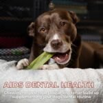 Bully Bunches Premium Mint Himalayan Yak Chew for Dogs, 100g, All-Natural, Long-Lasting, Authentic Yak Milk, Healthy Dental Chew, High-Protein, Grain-Free (Medium, 3 Pack) - Image 6