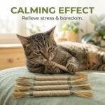 5 Pack Natural Silvervine Sticks for Cats, Cat Chew Toys for Teeth Cleaning & Dental Care - Calms Anxiety, Stress Relief for Indoor Cats, Catnip-Infused Interactive Playtime Dental Sticks - Image 4