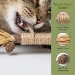 5 Pack Natural Silvervine Sticks for Cats, Cat Chew Toys for Teeth Cleaning & Dental Care - Calms Anxiety, Stress Relief for Indoor Cats, Catnip-Infused Interactive Playtime Dental Sticks - Image 7