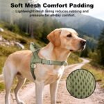 No Pull Dog Harness with Handle, Adjustable Mesh Padded Reflective Walking Harness with Front Clip for Small Medium Large Dogs – Quick Fit No Escape for Training and Hiking (Ranger Green, M) - Image 5