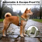 No Pull Dog Harness with Handle, Adjustable Mesh Padded Reflective Walking Harness with Front Clip for Small Medium Large Dogs – Quick Fit No Escape for Training and Hiking (Ranger Green, M) - Image 6