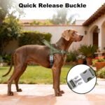 No Pull Dog Harness with Handle, Adjustable Mesh Padded Reflective Walking Harness with Front Clip for Small Medium Large Dogs – Quick Fit No Escape for Training and Hiking (Ranger Green, M) - Image 7