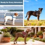 No Pull Dog Harness with Handle, Adjustable Mesh Padded Reflective Walking Harness with Front Clip for Small Medium Large Dogs – Quick Fit No Escape for Training and Hiking (Ranger Green, M) - Image 10