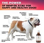 CB2 Hemp Oil for Dogs [100 ML/Organic] Hip and Joint Supplement for Dogs - Extra Strength for Pain & Anxiety. Relieves Pain/Arthritis/Inflammation/Separation Anxiety/Stress/Made in Canada - Image 5
