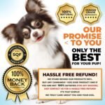 CB2 Hemp Oil for Dogs [100 ML/Organic] Hip and Joint Supplement for Dogs - Extra Strength for Pain & Anxiety. Relieves Pain/Arthritis/Inflammation/Separation Anxiety/Stress/Made in Canada - Image 8