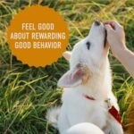 Cloud Star Corporation Tricky Trainer 5 Oz Chewy Cheddar - Image 7