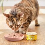 Cat Food Bowl, Food Grade Silicone Cat Dish, Wide Shallow Non-Slip Pet Bowl for Dry Food Wet Food (Green) - Image 7