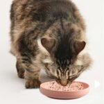 Cat Food Bowl, Food Grade Silicone Cat Dish, Wide Shallow Non-Slip Pet Bowl for Dry Food Wet Food (Green) - Image 8