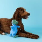 Fringe Studio Dog Plush Pet Toy with Squeaker, Feelin’ Jawsome! (289626) for All Breed Sizes, Medium, Multicolor - Image 3