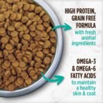 Nutrience Grain Free Indoor Cat Food, 5 kg (11 lb), Canadian Turkey, Chicken & Duck, High Protein, Dry Cat Food, Nourriture Pour Chat, Manger Pour Chat - Image 6