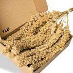 1LB/450g Spray Millet for Birds Parakeets, Super Long Natural Sun-Dried Millet Bird Treats for Cockatiel, Budgie, Finches, Parrots, Hamster - Image 2