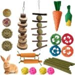 23 Pcs Bunny Guinea Pig Hamster Toys Hamster Rabbit Chew Toys Cage Accessories for Rabbit Guinea Pig Chinchilla Apple Wood Sticks for Small Animal Chew (Polychrome) - Image 2