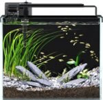 3 Gallon Fish Tank Aquarium Kit with Filter, LED Light with Timer, Siphon Vacuum Cleaner, Lid, Self-Cleaning Glass Rimless Betta Tank - Image 2