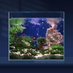 6.5 Gallon Ultra Clear Glass Fish Tank, Rimless Low Iron Aquarium for Betta/Nano/Goldfish/Snail/Shrimp, Fish Tank & Cover Set & Feeding Ring & Cleaning Tools - Image 2