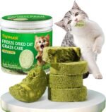 90g Cat Grass Treats, Cat Grass Teething Stick for Hairball Remove and Teeth Cleaning, Edible Cats Grasses Stick Snack - Image 2
