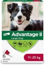 Advantage II Flea Treatment for Large Dogs weighing 11 kg to 25 kg (24 lbs. to 55 lbs.)-6 doses - Image 2