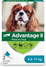 Advantage II Flea Treatment for Medium Dogs weighing 4.6 kg to 11 kg (10 lbs. to 24 lbs.)-2 doses - Image 2