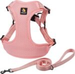 BELLA & PAL Dog Harness with Leash Set, Adjustable Step-in Puppy Harness for Extra-Small/Small Medium Dogs, No Pull Breathable Vest Reflective Harness with Leash D-Ring (Pink, XS (Chest: 13-16")) - Image 2